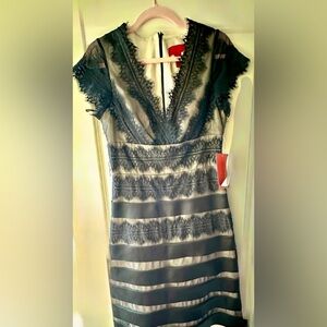 BNWT JS Collection Black Lace knee length Dress Sz 6